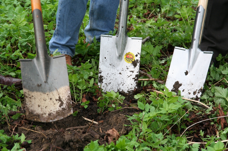 pepiniere-PIERLAS-min_work-lawn-flower-tool-green-backyard-1103633-pxhere.com